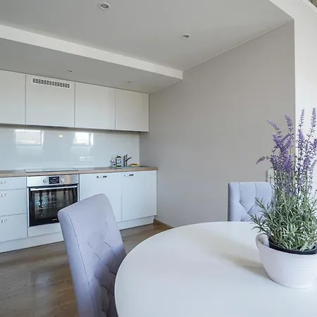 A. Vienuolio Gatve Apartamentai Apartment Wilna