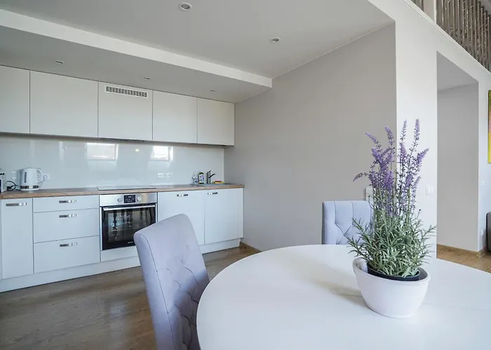 A. Vienuolio Gatve Apartamentai Lejlighed Vilnius