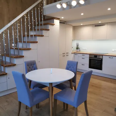 A. Vienuolio Gatve Apartamentai * 维尔纽斯